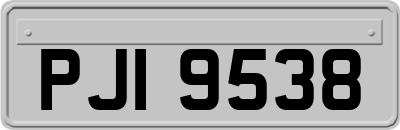 PJI9538