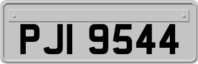 PJI9544
