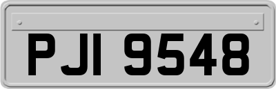 PJI9548