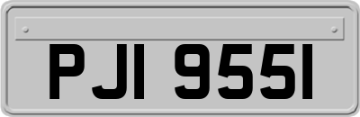 PJI9551
