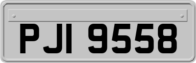 PJI9558