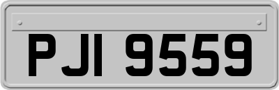 PJI9559
