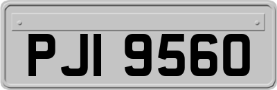 PJI9560