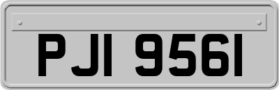 PJI9561