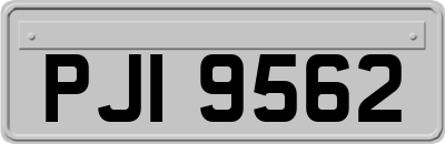 PJI9562