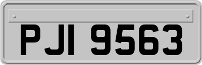 PJI9563