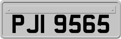 PJI9565
