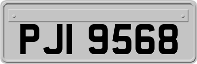 PJI9568