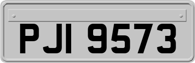 PJI9573
