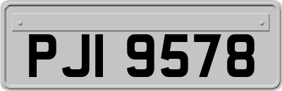 PJI9578