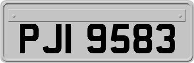 PJI9583