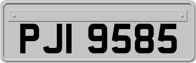 PJI9585