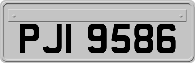 PJI9586