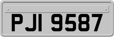 PJI9587