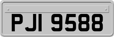 PJI9588