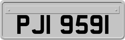 PJI9591