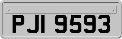 PJI9593