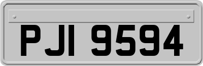 PJI9594