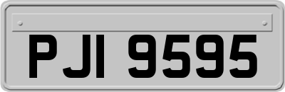 PJI9595