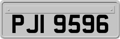 PJI9596