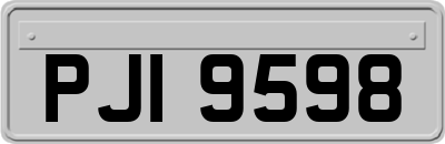 PJI9598