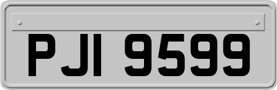 PJI9599