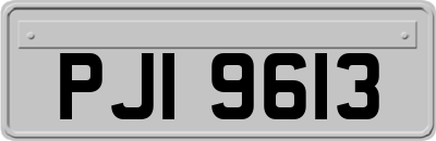 PJI9613