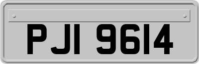 PJI9614