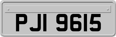 PJI9615