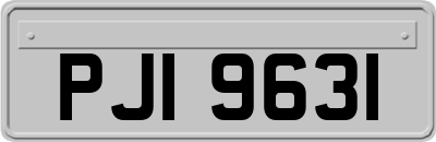 PJI9631