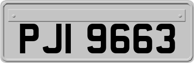 PJI9663