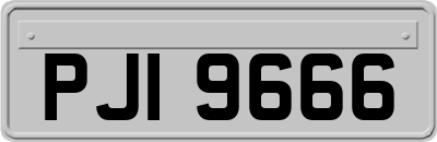 PJI9666