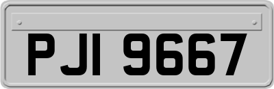 PJI9667