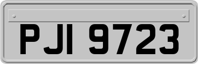 PJI9723
