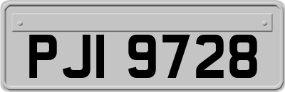 PJI9728