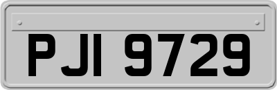PJI9729