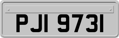 PJI9731