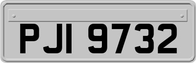 PJI9732