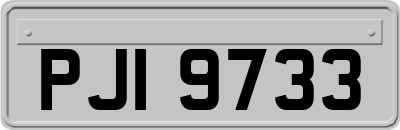 PJI9733