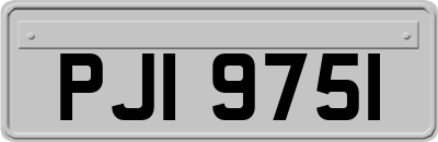 PJI9751