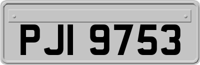 PJI9753