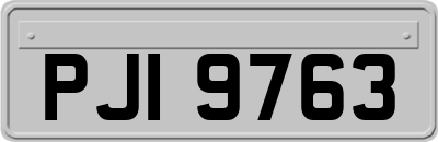 PJI9763
