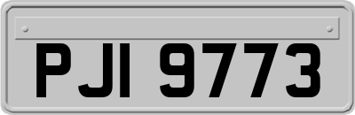 PJI9773