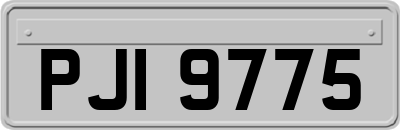 PJI9775