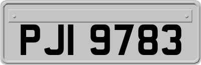 PJI9783