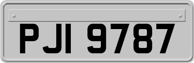 PJI9787