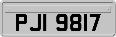 PJI9817