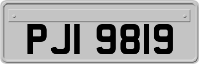 PJI9819
