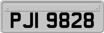 PJI9828