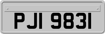 PJI9831